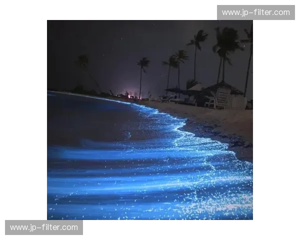 开启你的时尚新篇章——深入探秘“开云网页”的魅力世界